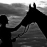 Rozstrzygniecie kolejnej edycji konkursu fotograficznego “Konie, jeźdźcy, zaprzęgi”.